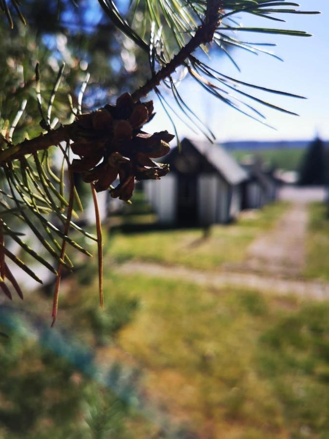 Cyklocamp Pod Landstejnem 호텔 Stare Mesto  외부 사진